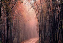 爱游戏官方入口-迎来胜利，球队成功晋级下一轮——属于每一个热血足球人的辉煌时刻