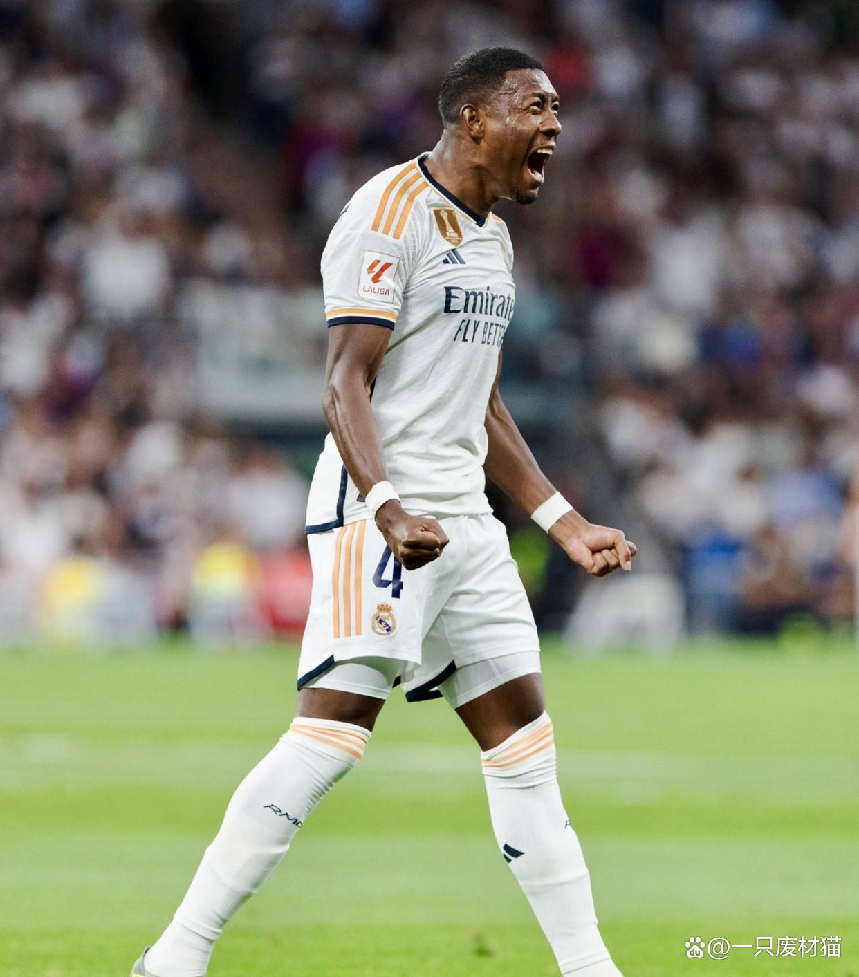 爱游戏亚洲官网-皇马宣布巨额转会，引发球迷热议