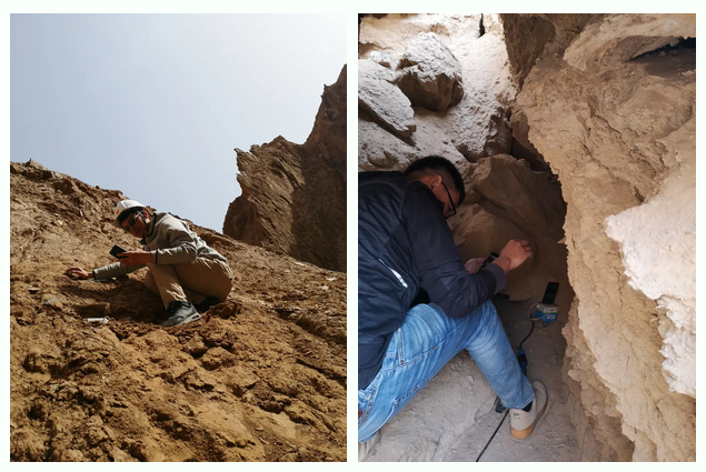 斯洛文尼亚队员拼搏奋斗披荆斩棘的简单介绍